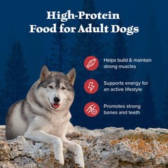 Blue Buffalo Wilderness Rocky Mountain kibble in a bowl during mealtime