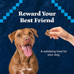 Blue Buffalo Wilderness Trail Treats grain-free option designed for protein-forward bites.