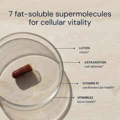 Label detail on Blueprint Bryan Johnson antioxidant bottle showing essential nutrients
