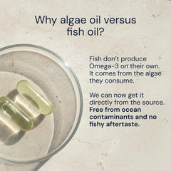Close-up of algae oil pouring to show triglyceride form and high absorption.