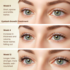 BodyJ4You precision lash brush applied for smooth eyelash and brow care