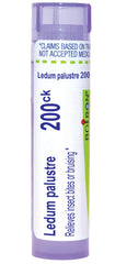 Boiron Ledum Palustre tube with pellets for on-the-go bite relief.