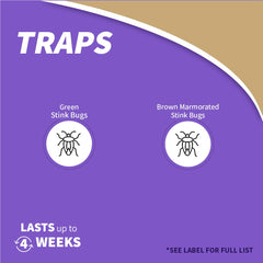 Dual-action lure close-up demonstrates pheromone technology attracting brown marmorated and green stink bugs.