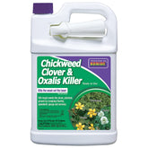 Bonide Chickweed Clover Oxalis Killer ready-to-use spray bottle for easy lawn weed control