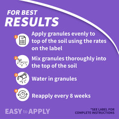 Bonide Systemic Houseplant Insect Control protects container plants indoors and outdoors.