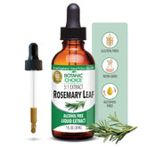 Botanic Choice Rosemary Leaf Liquid Extract bottle on a kitchen counter for daily use.