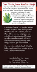 Bravo Tea Lions Mane mushroom close-up highlighting adaptogenic profile.