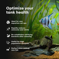 Brightwell MicroBacter Start XLF, cycle d'eau rapide en 5 à 7 jours pour aquarium.