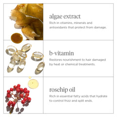 Rosehip and algae ingredients in Briogeo Don't Despair, Repair for hydrating care.