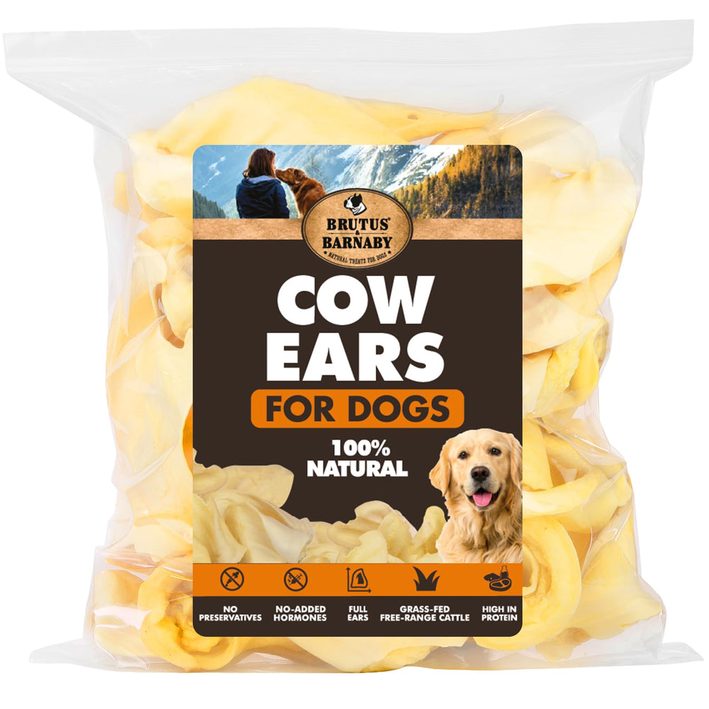BRUTUS & BARNABY cow ears whole 12ct thick cut for dogs, long-lasting chew