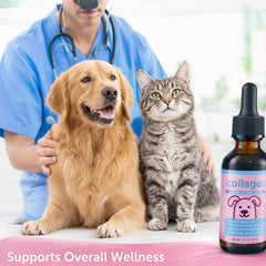 BRYWSDHA Liquid Collagen pets skin moisture and overall appearance