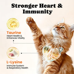 Omega-3 and Glucosamine support joints and coat health in BuddyCheer chews