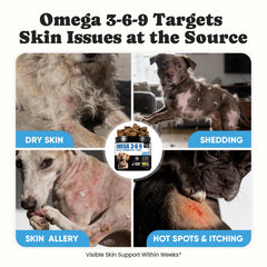 BuddyCheer dog joint support ingredients graphic shows EPA and DHA benefits.