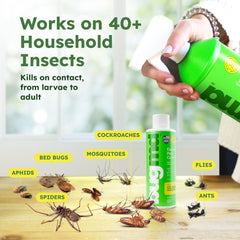 BugMD fast acting pest spray demonstrates quick knockdown in minutes