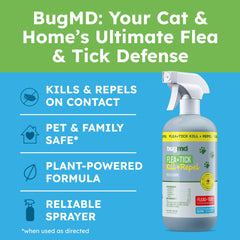 Cat application: mist applied to a cat using BugMD spray for gentle care