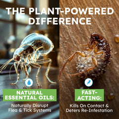 Fine mist from BugMD spray designed for pet and surface use