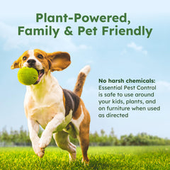 BugMD Forever spray bottle 32oz ready to use for pest control
