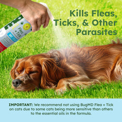 BugMD front label closeup highlighting essential oil power for flea control
