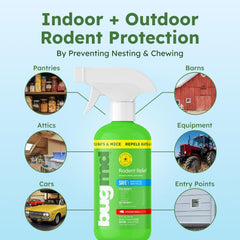 BugMD rodent repellent outdoor application near entry points.