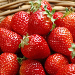 Bulborium strawberry seeds pack ready for indoor seed starting.