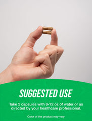 BulkSupplements Longjack Extract capsules in hand for daily use.