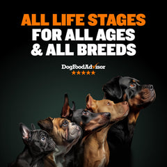 Bully Max chicken-meal detail highlights high-protein blend for active dogs.