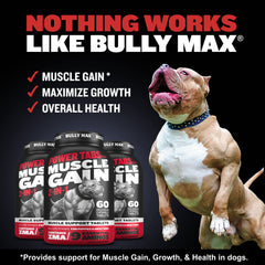 Bully Max Power Tabs puppy chew shows a tasty bite for growing puppies.