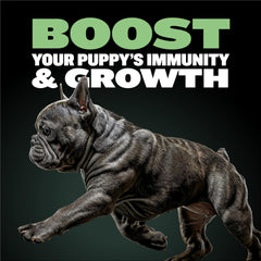 Bully Max Puppy Food close-up highlights 24% protein and 14% fat.