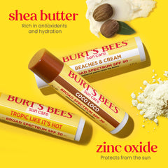 Packaging view of Burt's Bees lip balm trio for on-the-go sun protection.