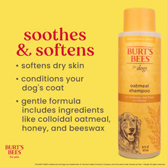 Burt's Bees for Pets Oatmeal Dog Shampoo foam shows low-lather formula for easy rinse