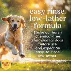 BURT'S BEES FOR PETS oatmeal shampoo ingredients closeup shows natural components.