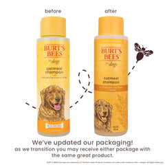 BURT'S BEES FOR PETS oatmeal shampoo pump shows easy rinse.