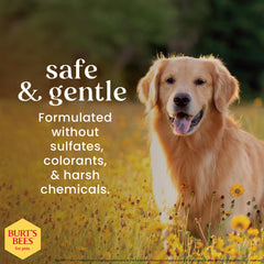 BURT'S BEES FOR PETS rosemary-olive-oil paw care close-up softens rough paw skin.