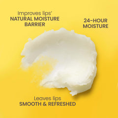 Burt's Bees Garden Party Wildflower Honey lip balm tube for nourishing hydration.