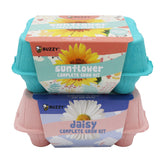 BUZZY Seeds Flower Starter Kit packaging with colorful egg cartons for eco-friendly gifting.