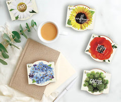 BUZZY Seeds mini terracotta pots in a neat starter kit for beginners