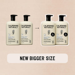 Shampoo lather close-up with creamy texture and coconut scent by California Naturals.