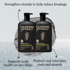 Regro shampoo cream texture shows gentle cleansing and easy rinse.