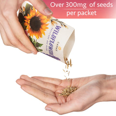 Camas Pollinator Seed Packets lure hummingbirds to blooms.