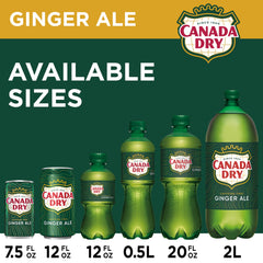Pouring Canada Dry Ginger Ale into a copper mug for a Moscow Mule vibe