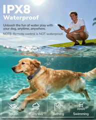 Canivix IPX8 waterproof collar suitable for swimming and rainy walks.