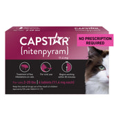 Capstar cat flea tablet on paw ready for quick action against fleas.