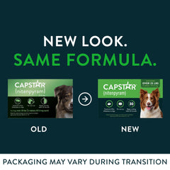 Person preparing Capstar dog flea tablets for administration at home.