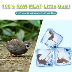 Capuca quail treats beside a cat’s bowl, ideal grain-free reward.