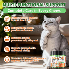 Carmelie cat chews served in a dish easy to mix with meals