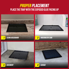 Catchmaster Glue Trap Walls Pathways placed along walls for better coverage.