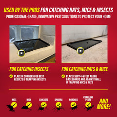 Catchmaster glue trap for indoor damp areas like basements.