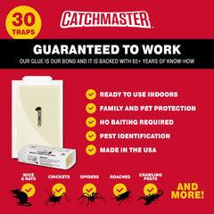 Close-up of Catchmaster trap highlighting strong adhesive for rapid capture