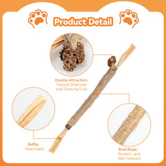 Cat enjoys Caticalife silvervine sticks during chewing session