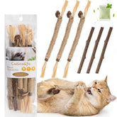 Caticalife silvervine sticks packaging shown for indoor cats' dental care